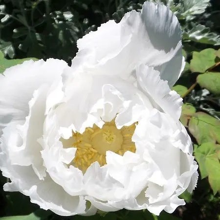 Hilda 別荘 ヴィーコ・エクエンセ