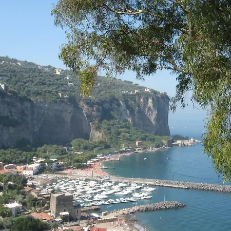 Hilda ヴィーコ・エクエンセ